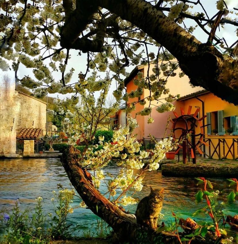 Agriturismo Pettino Campello sul Clitunno Exteriör bild