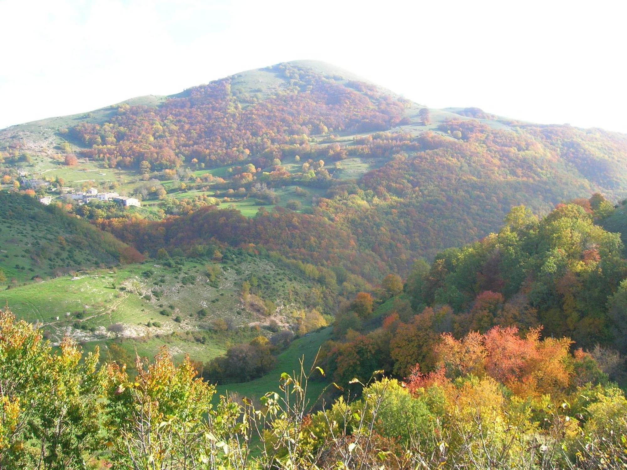 Agriturismo Pettino Campello sul Clitunno Exteriör bild